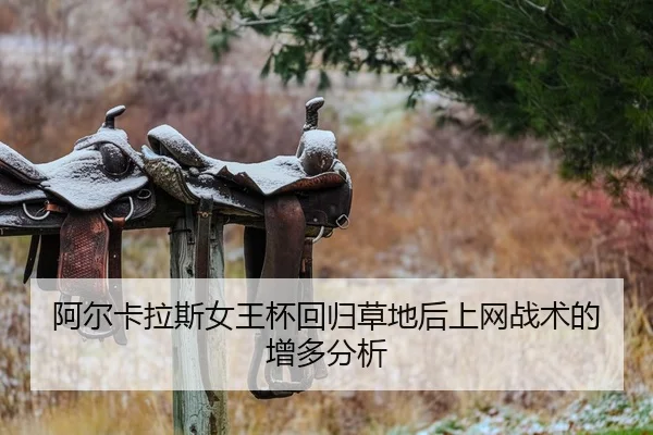 a-er-ka-la-si-nv-wang-bei-hui-gui-cao-di-hou-shang-wang-zhan-shu-de-zeng-duo-fen-xi-2-565.jpg