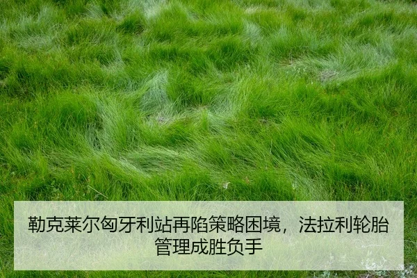 lei-ke-lai-er-xiong-ya-li-zhan-zai-xian-ce-lve-kun-jing-fa-la-li-lun-tai-guan-li-cheng-sheng-fu-shou-2-494.jpg