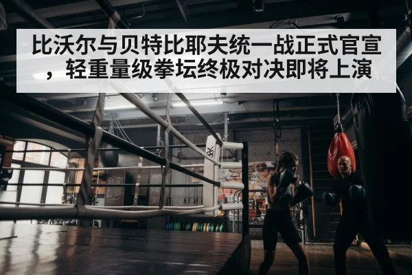 boxer training